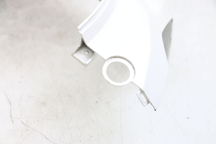 photo de CARENA POSTERIORE DESTRA PEUGEOT TWEET PRO EFI 4T 50 (2021 - 2022) - Ricambio usato controllato