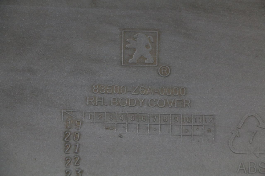 photo de CARENA POSTERIORE DESTRA PEUGEOT TWEET 125 (2018 - 2021) - Stato della superficie e materiale