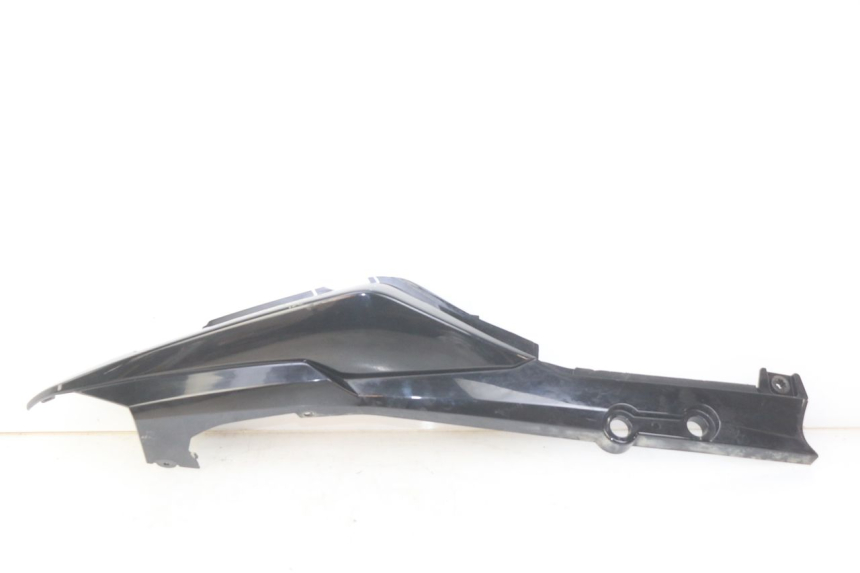 photo de PARAFANGO POSTERIORE DESTRO SYM WOLF SB 125 (2011 - 2018) - Vista principale