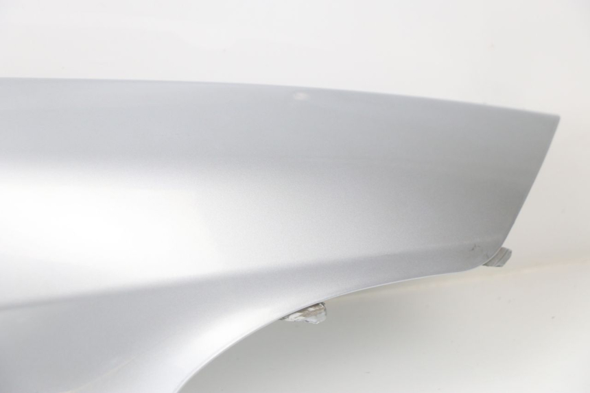 photo de PARAFANGO POSTERIORE DESTRO PIAGGIO X9 EVOLUTION 250 (2003 - 2007) - Dettagli dei punti di fissaggio