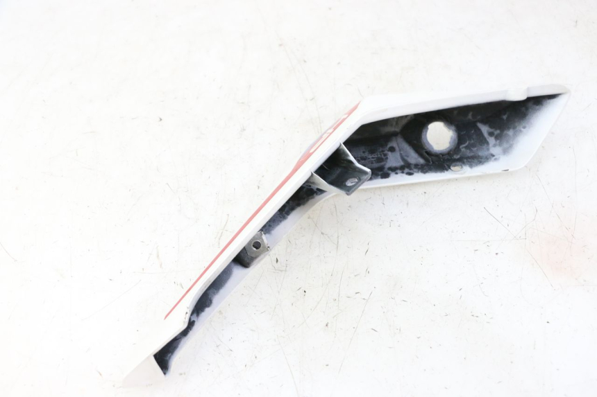 photo de CARENA POSTERIORE SINISTRA BMW G310 R 310 (2016 - 2020) - Primo piano tecnico