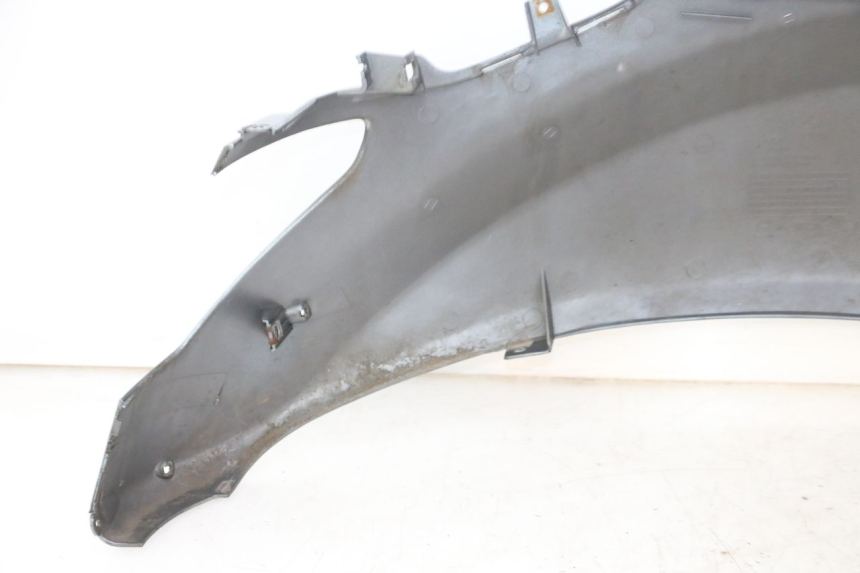 photo de CARENA POSTERIORE SINISTRA DAELIM HISTORY 125 (2001 - 2002) - Vista d'insieme del prodotto