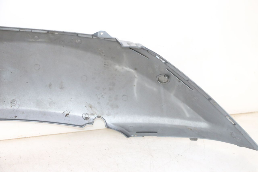 photo de CARENA POSTERIORE SINISTRA DAELIM HISTORY 125 (2001 - 2002) - Stato della superficie e materiale