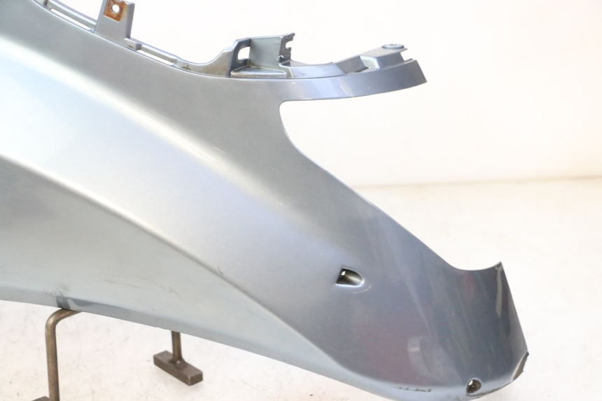 photo de CARENA POSTERIORE SINISTRA DAELIM HISTORY 125 (2001 - 2002) - Marcature e riferimenti originali