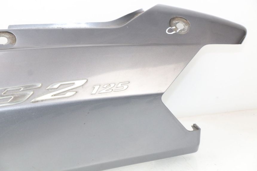 photo de FLANC POSTERIORE SINISTRO DAELIM S2 125 (2006 - 2007) - Focus sulla struttura