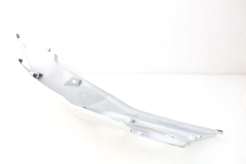 photo de FLANC POSTERIORE SINISTRO DAELIM S3 125 (2010 - 2017) - Dettaglio del componente