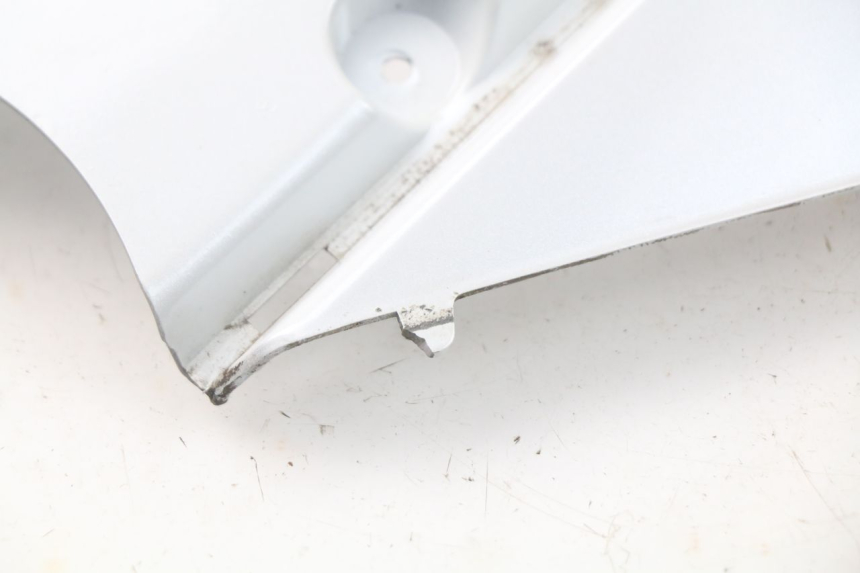 photo de FLANC POSTERIORE SINISTRO DAELIM S3 125 (2010 - 2017) - Altra vista dell'articolo