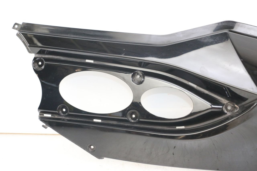 photo de FLANC POSTERIORE SINISTRO DAELIM S3 125 (2010 - 2017) - Primo piano ad alta risoluzione