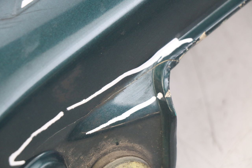 photo de FLANC POSTERIORE SINISTRO TRIUMPH SPRINT ST 955 (1999 - 2001) - Caratteristiche distintive