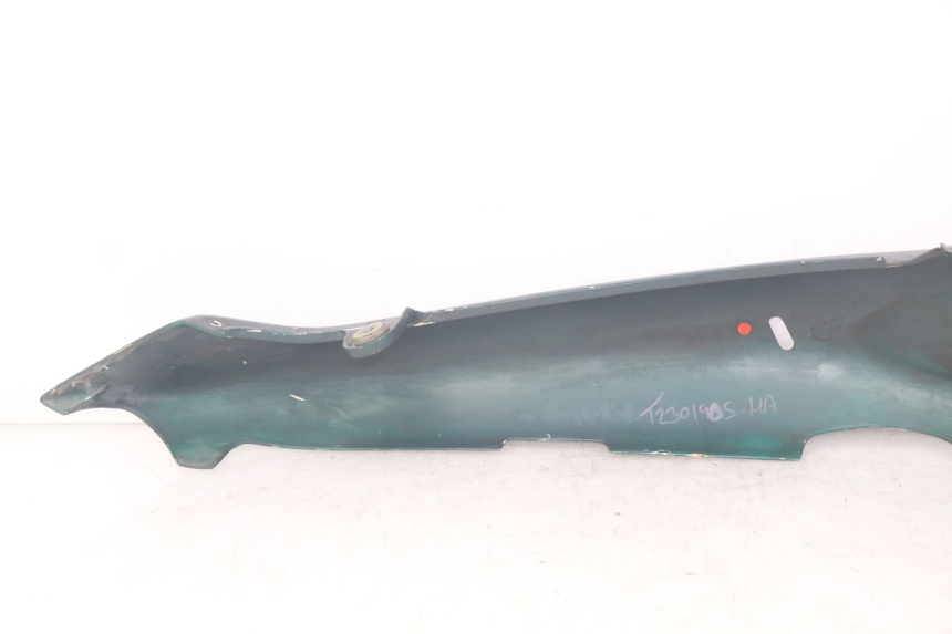 photo de FLANC POSTERIORE SINISTRO TRIUMPH SPRINT ST 955 (1999 - 2001) - Primo piano tecnico