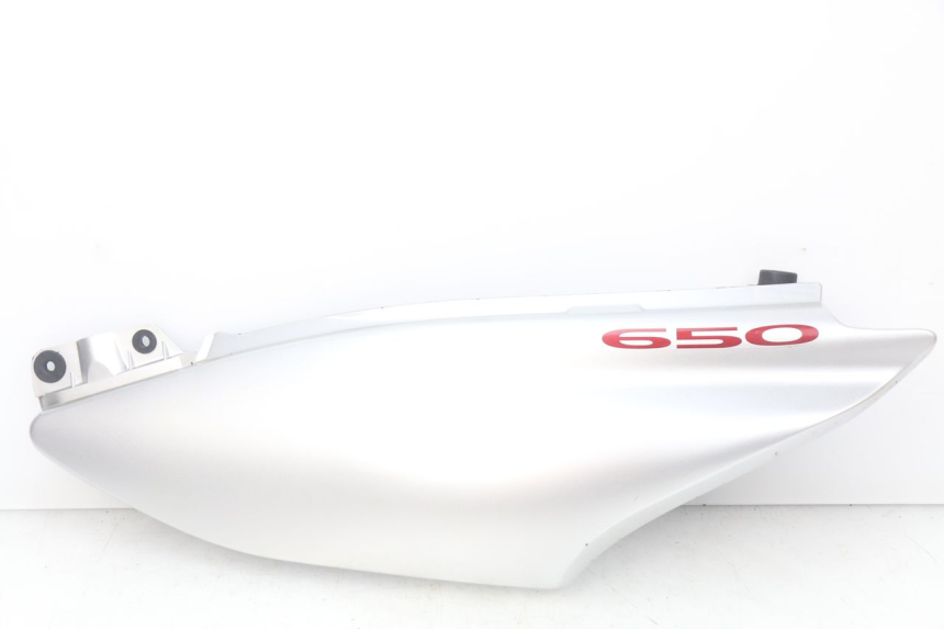 photo de FLANC POSTERIORE SINISTRO SUZUKI XF FREEWIND 650 (1997 - 2003) - Vista principale