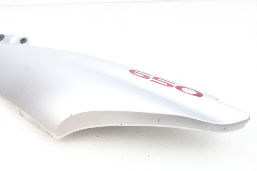 photo de FLANC POSTERIORE SINISTRO SUZUKI XF FREEWIND 650 (1997 - 2003) - Primo piano tecnico