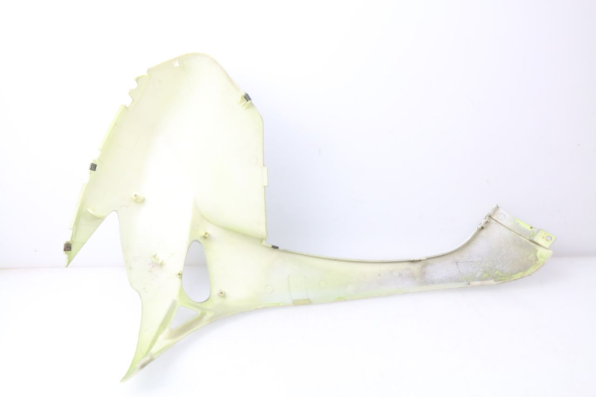 photo de Pannello laterale anteriore destro ERIDER CARGO 1 (2009 - 2018) - Primo piano tecnico