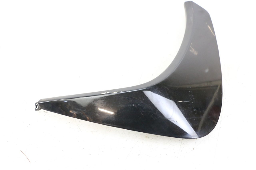 photo de Pannello laterale anteriore destro PEUGEOT GEOPOLIS RS 125 (2007 - 2009) - Primo piano tecnico