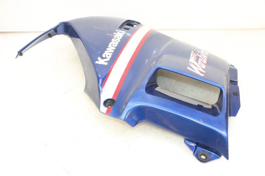 photo de CARENA KAWASAKI GPX R WARBIRD 600 (1988 - 1993) - Caratteristiche distintive