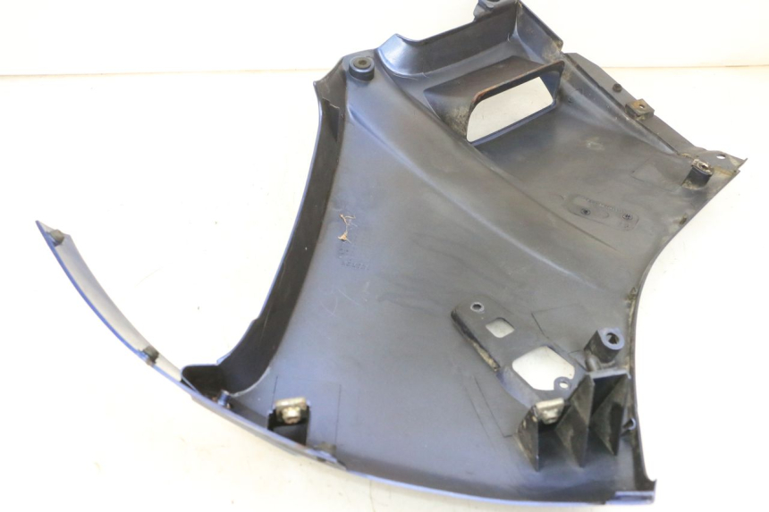 photo de CARENA KAWASAKI GPX R WARBIRD 600 (1988 - 1993) - Primo piano tecnico