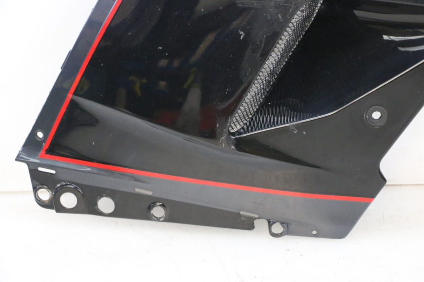 photo de CARENA KAWASAKI GPZ RX 1000 (1986 - 1988) - Primo piano ad alta risoluzione