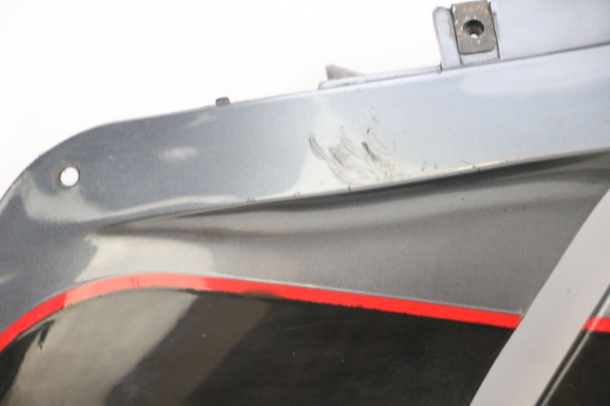 photo de CARENA KAWASAKI GPZ RX 1000 (1986 - 1988) - Ispezione visiva dettagliata