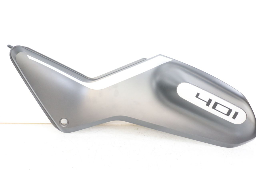 photo de CARENA HUSQVARNA SVARTPILEN 401 (2018 - 2023) - Vista principale