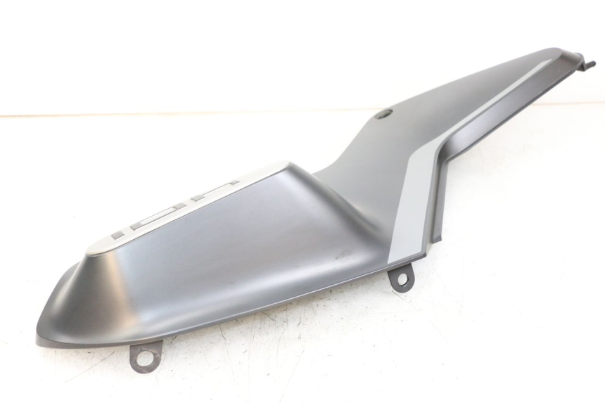 photo de CARENA HUSQVARNA SVARTPILEN 401 (2018 - 2023) - Dettagli dei punti di fissaggio