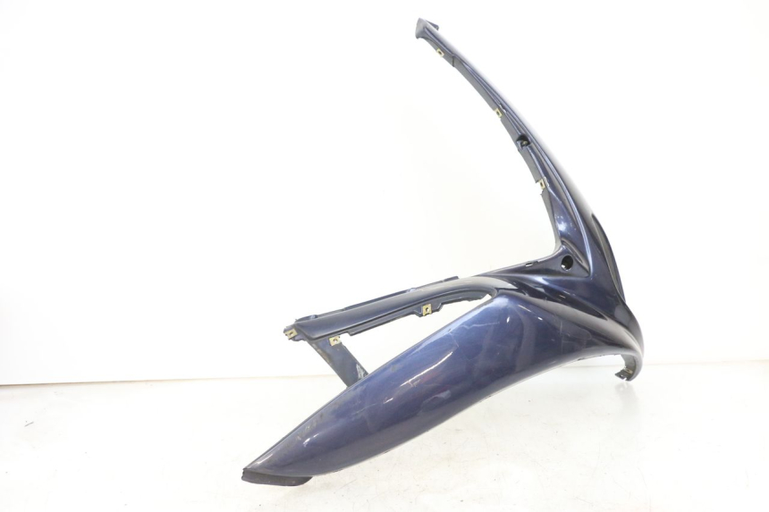 photo de CARENA RENAULT KOURANOS 125 (2001 - 2004) - Primo piano tecnico