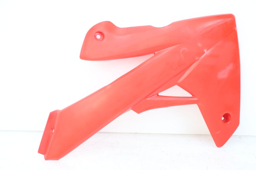 photo de CARENA RIEJU MRT 50 (2018 - 2021) - Vista principale