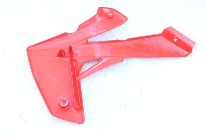 photo de CARENA RIEJU MRT 50 (2018 - 2021) - Dettaglio del componente