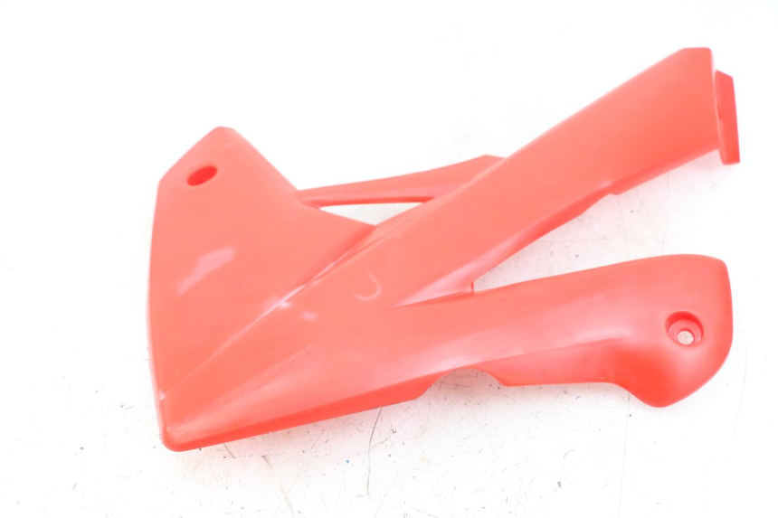 photo de CARENA RIEJU MRT 50 (2018 - 2021) - Primo piano tecnico