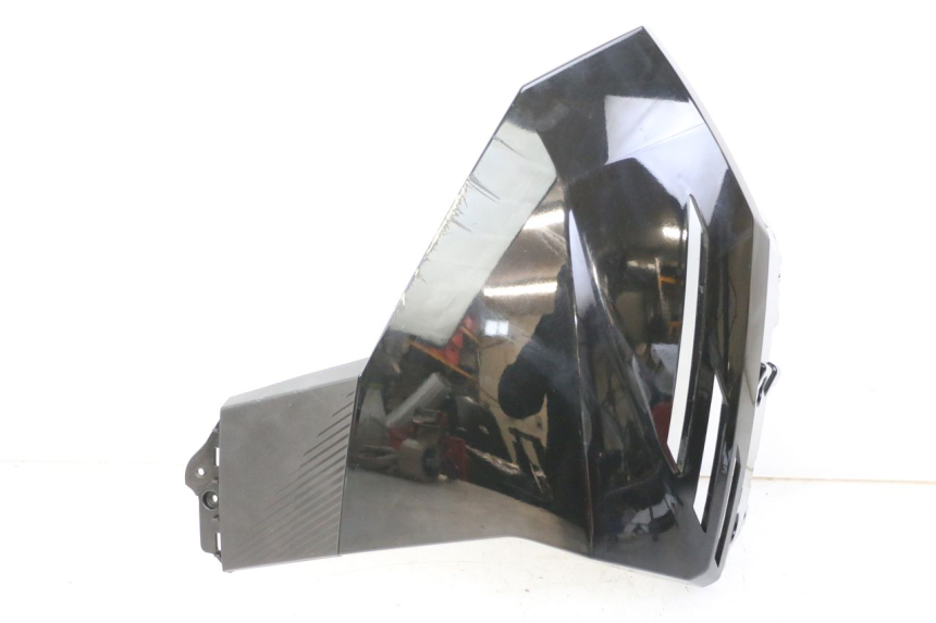 photo de CARENA PEUGEOT TWEET 4T 50 (2023 - 2025) - Vista principale