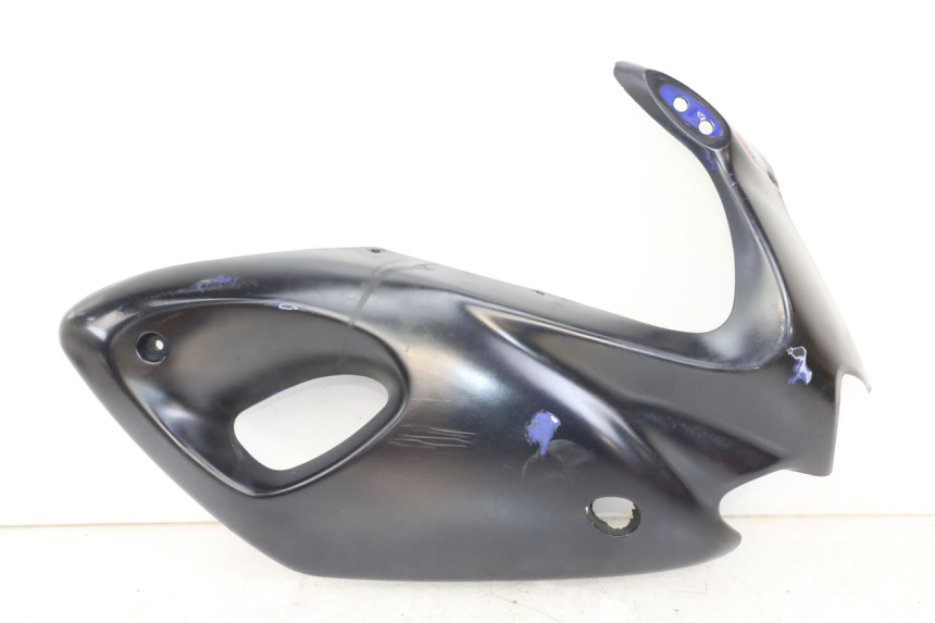 photo de CARENA SUZUKI SV S 650 (1999 - 2002) - Vista principale