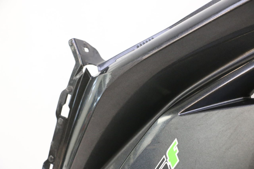 photo de FIANCATA ANTERIORE SINISTRA KAWASAKI ER-6 ER6 F ABS 650 (2012 - 2016) - Dettaglio del componente