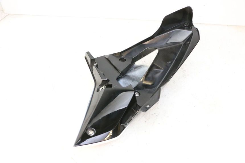 photo de CARENA BMW G310 R 310 (2016 - 2020) - Altra angolazione