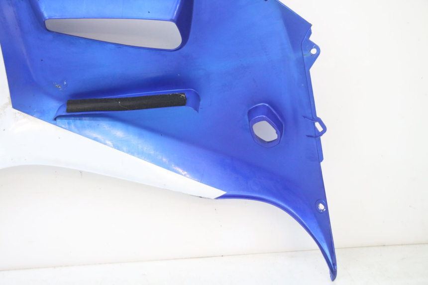 photo de CARENA SUZUKI GSX F GSXF 650 (2007 - 2015) - Primo piano ad alta risoluzione