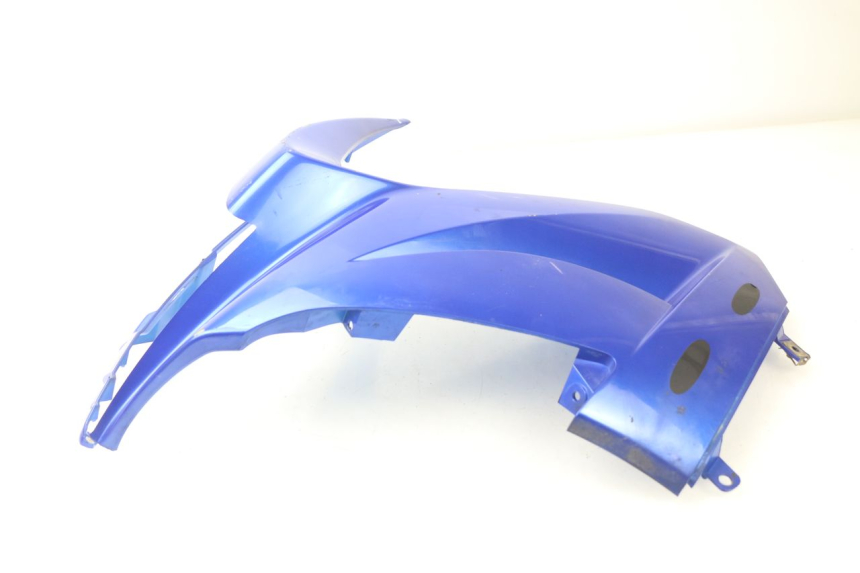 photo de CARENA PEUGEOT JET FORCE CARBU 50 (2003 - 2016) - Vista d'insieme del prodotto