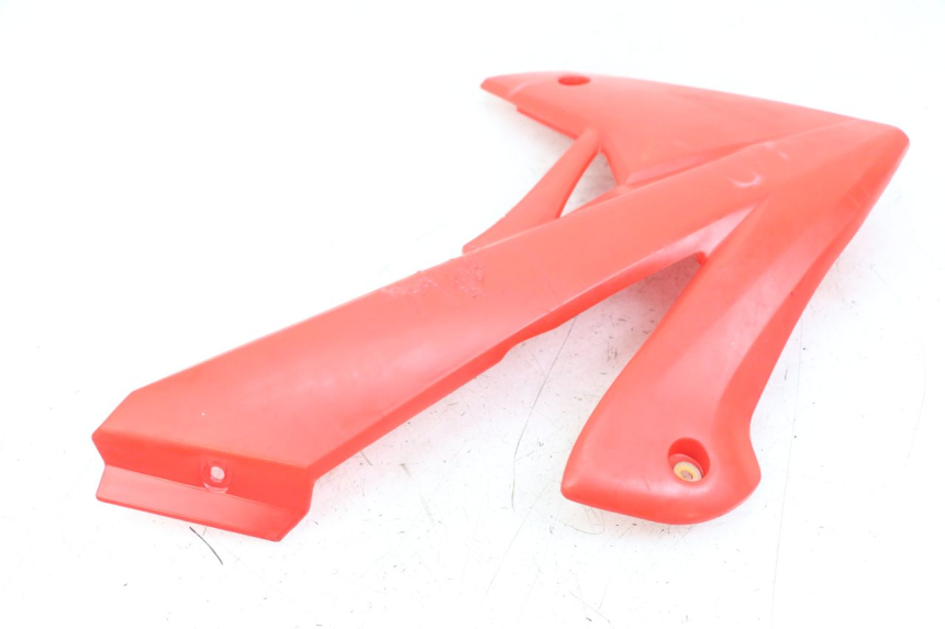 photo de CARENA RIEJU MRT 50 (2018 - 2021) - Primo piano tecnico