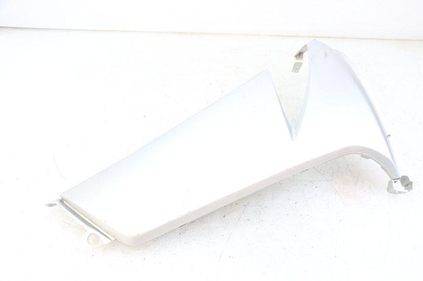 photo de CARENA PEUGEOT CITYSTAR 2T 50 (2018 - 2021) - Caratteristiche distintive