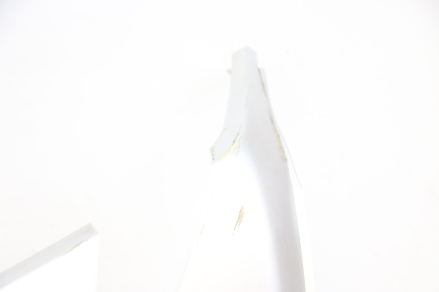 photo de CARENA PEUGEOT CITYSTAR 2T 50 (2018 - 2021) - Focus sulla struttura