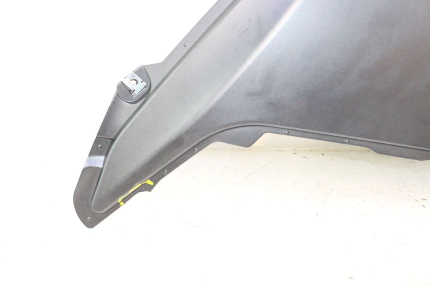 photo de CARENA JM MOTORS R-MAX TECH 50 (2024 - 2026) - Primo piano tecnico