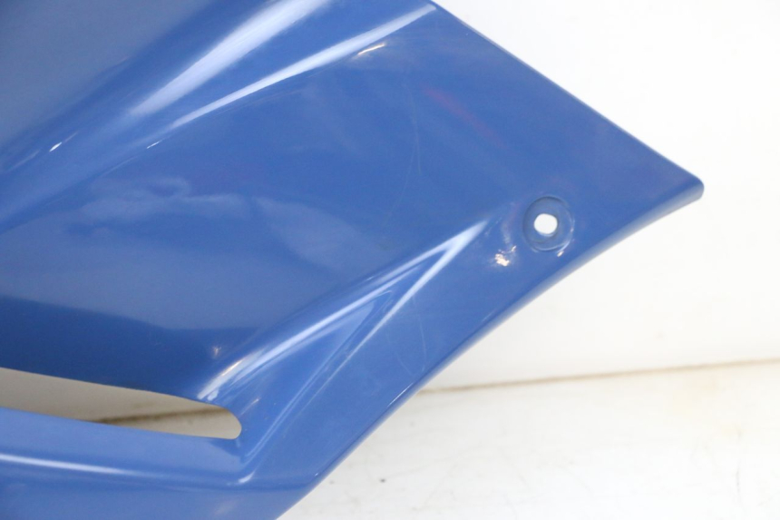 photo de FIANCO LATERALE ANTERIORE SINISTRO YAMAHA TDM ABS 900 (2002 - 2014) - Primo piano ad alta risoluzione