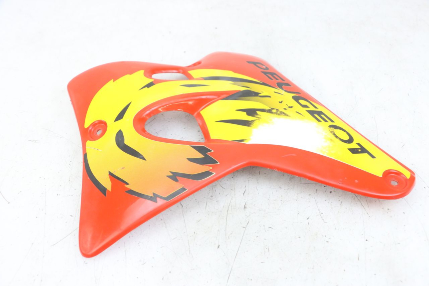 photo de PARAFANGO LATERALE ANTERIORE SINISTRO PEUGEOT XP6 50 (1997 - 2003) - Zoom sullo stato d'uso