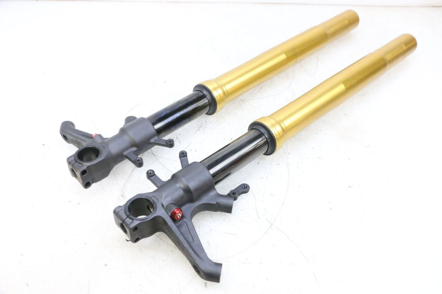 photo de FORCELLA SUZUKI GSXR GSX-R 1000 (2003 - 2004) - Vista principale