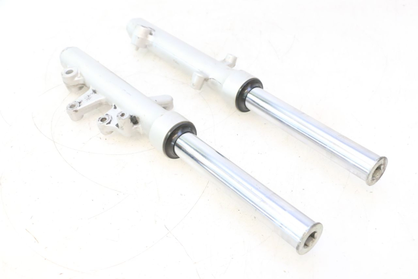 photo de STELO FORCELLA SUZUKI BURGMAN 125 (2007 - 2014) - Vista principale
