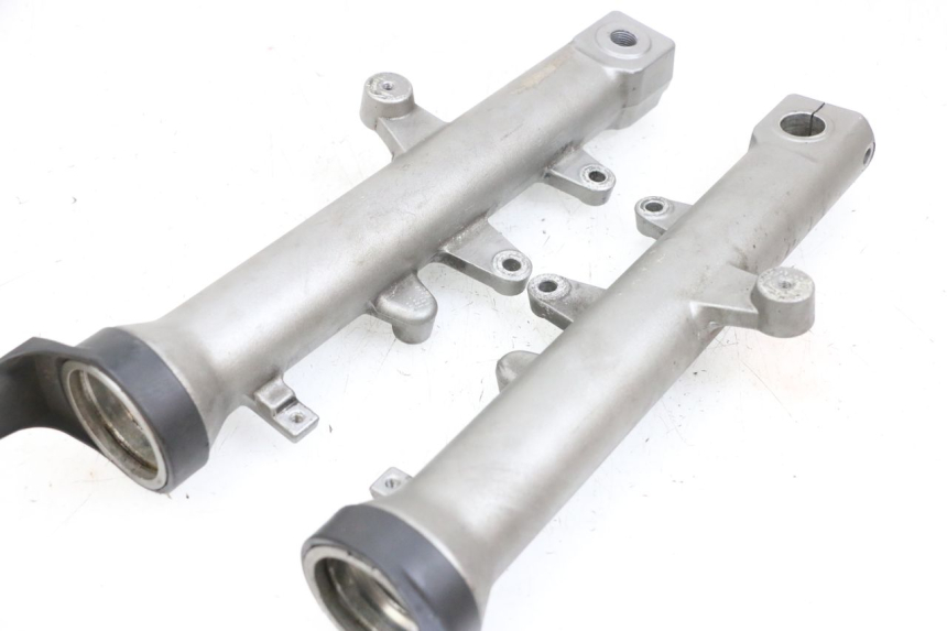 photo de STELO FORCELLA SUZUKI BURGMAN EXECUTIVE ABS 650 (2006 - 2012) - Vista d'insieme del prodotto