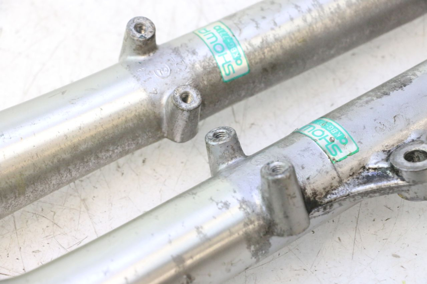 photo de STELO FORCELLA HONDA CB TWO FIFTY 250 (1991 - 2002) - Stato della superficie e materiale