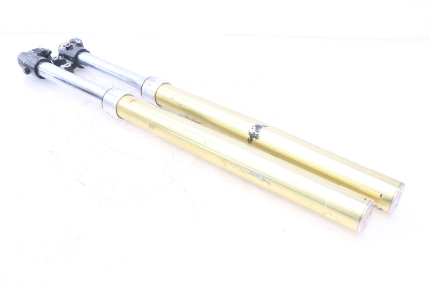 photo de STELO FORCELLA HM HONDA DERAPAGE 50 (2007 - 2009) - Vista principale
