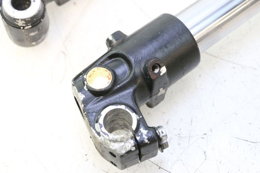 photo de STELO FORCELLA HM HONDA DERAPAGE 50 (2007 - 2009) - Caratteristiche distintive