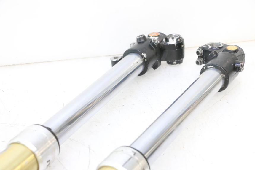 photo de STELO FORCELLA HM HONDA DERAPAGE 50 (2007 - 2009) - Focus sulla struttura