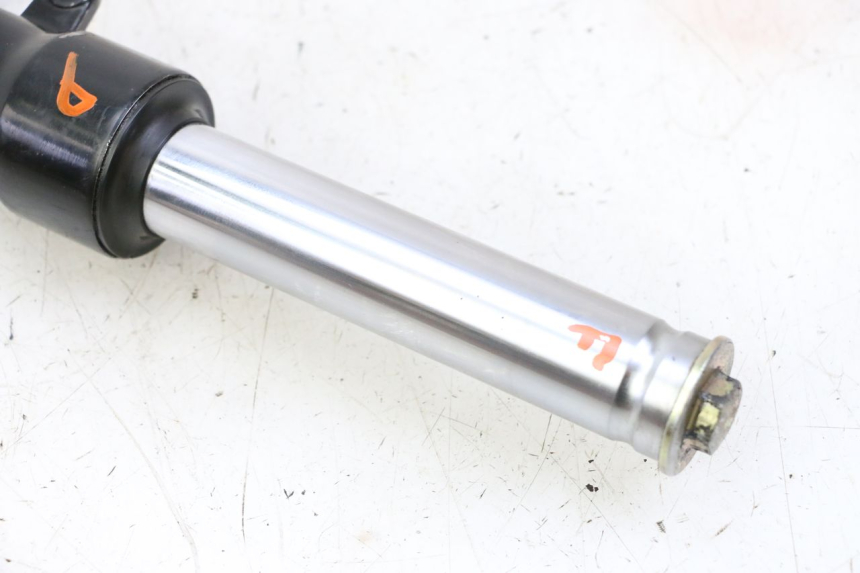 photo de STELO FORCELLA DESTRA ORCAL CAVARO 4T 50 (2019 - 2023) - Vista d'insieme del prodotto