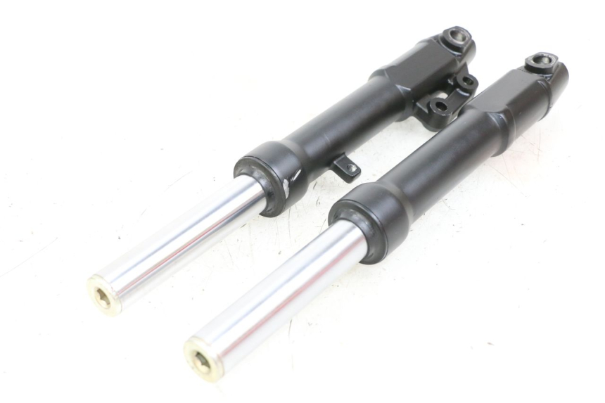 photo de STELO FORCELLA WAYSCRAL E-START 1 (2018 - 2022) - Primo piano tecnico