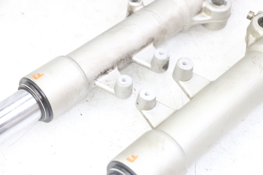 photo de STELO FORCELLA PEUGEOT ELYSTAR 125 (2002 - 2007) - Altra vista dell'articolo